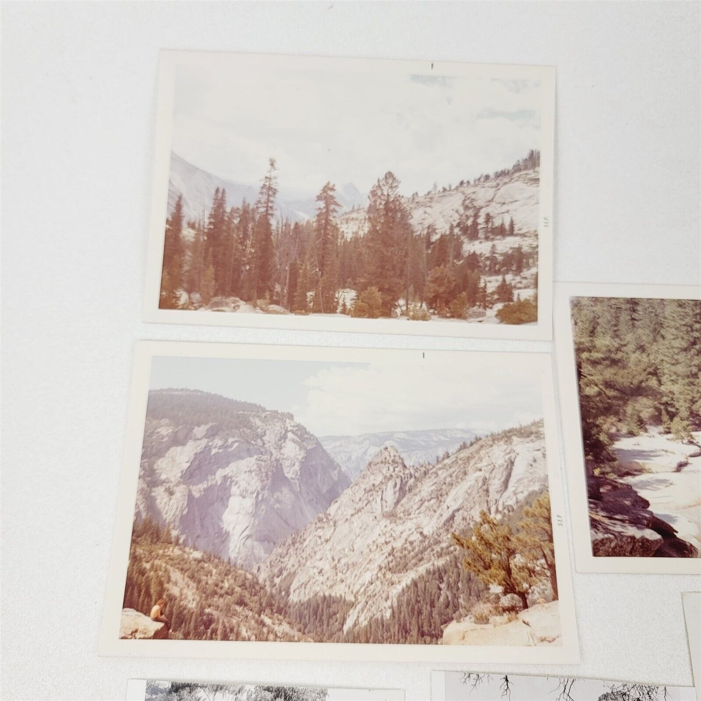 19 Vintage Photos Yosemite Park Trees Waterfall Sawyers Half Dome Photography