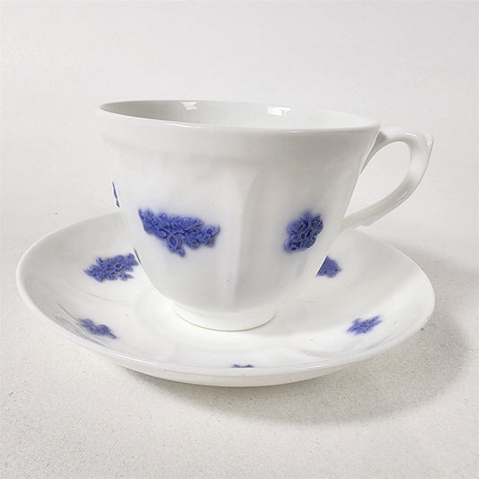 Vintage Tea Cup & Saucer Adderley England Bone China Chelsea Spring White Blue