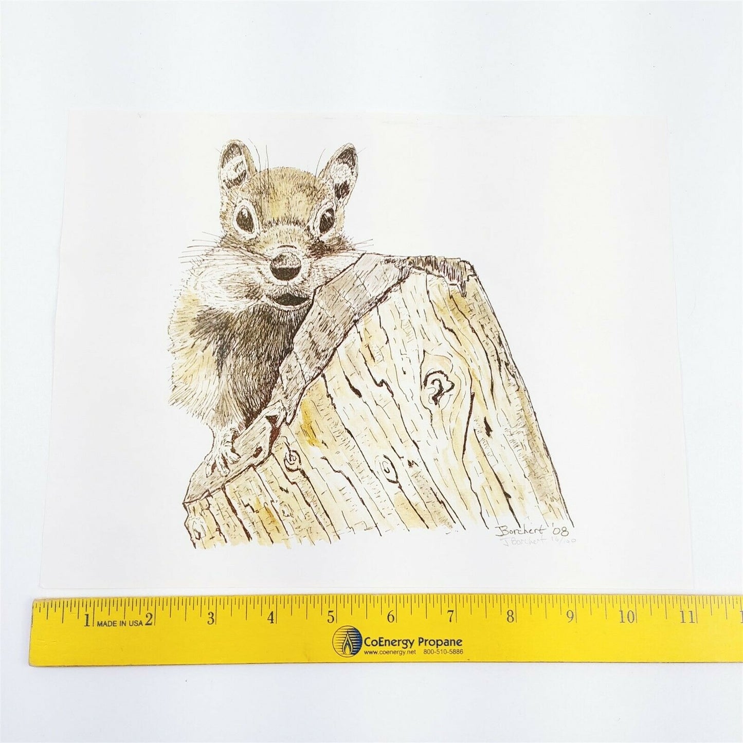 J Borchert 2008 Signed 16/100 Squirrel Print