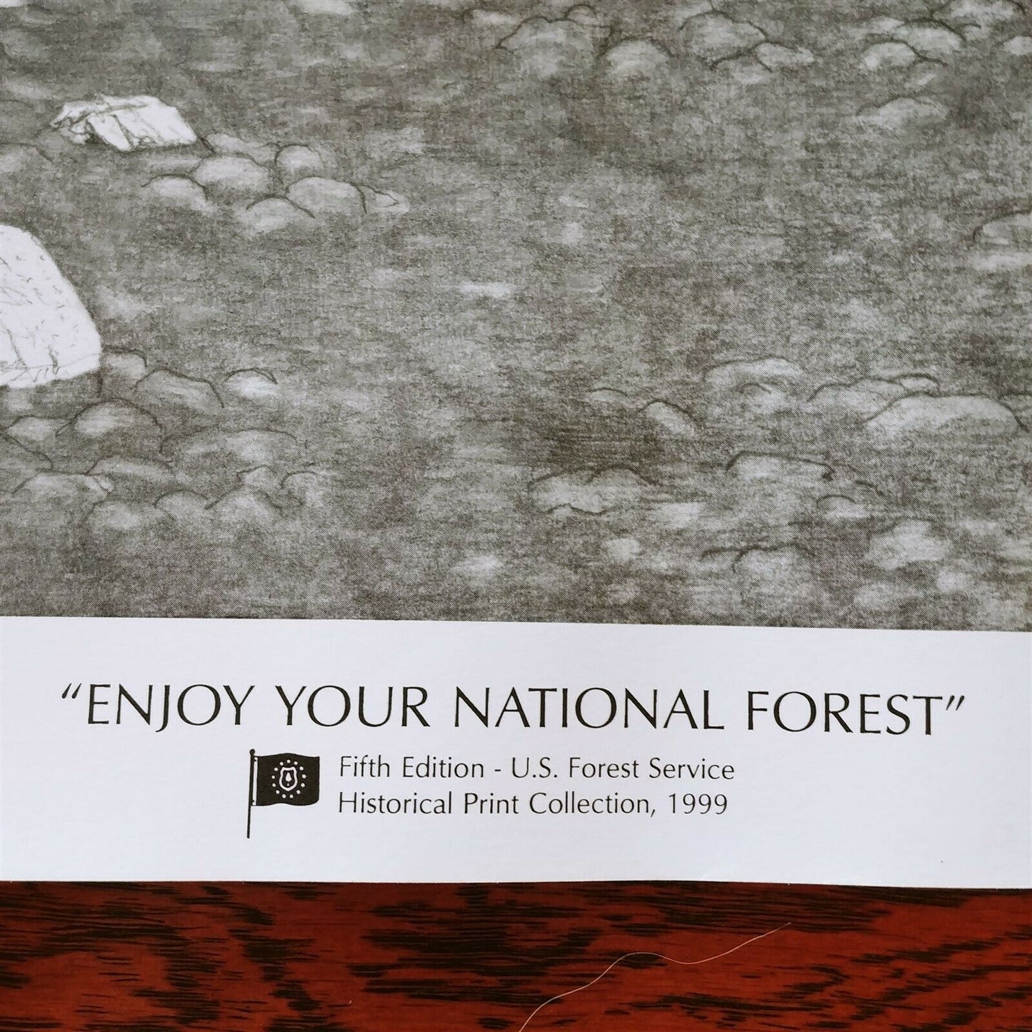 RG Finney Print Signed Camping National Forest 22/750