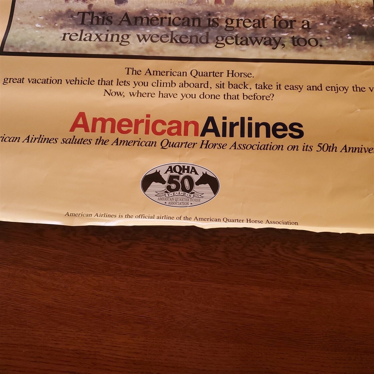 American Airlines American Quarter Horse Association Horseback Riding Fall Trees