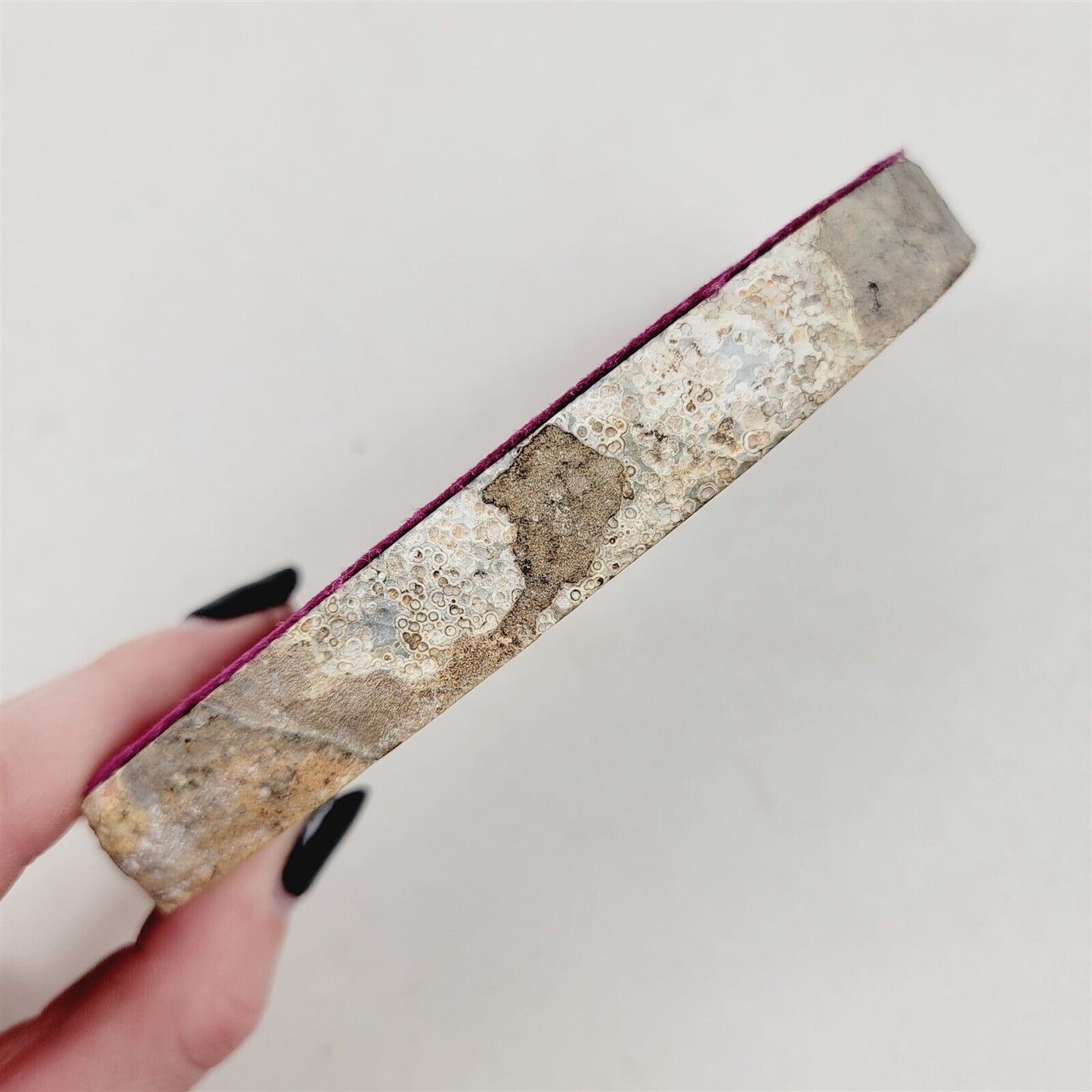 3 Cut Polished Agates Rocks Crystal Lapidary - Felt Backs