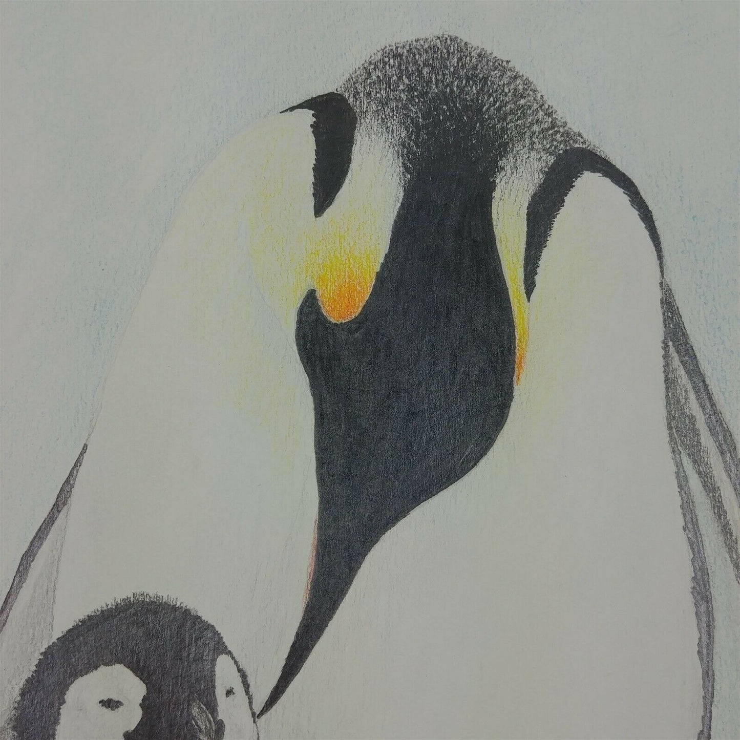 Holly Ritchie Penguin Colored Pencil Drawing Mother & Child 11 3/4" x 8" 1993