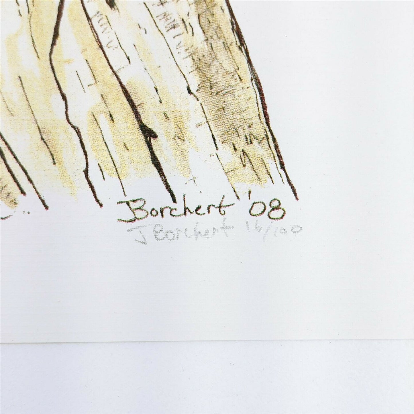 J Borchert 2008 Signed 16/100 Squirrel Print